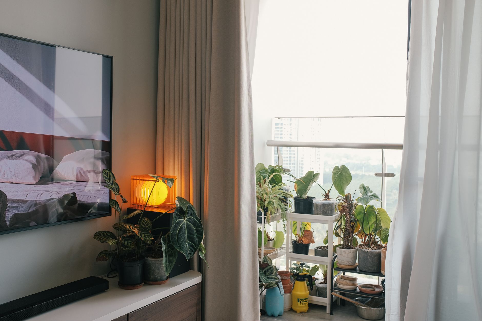 Greenhouse Flat — warm living space with plants and soft lighting