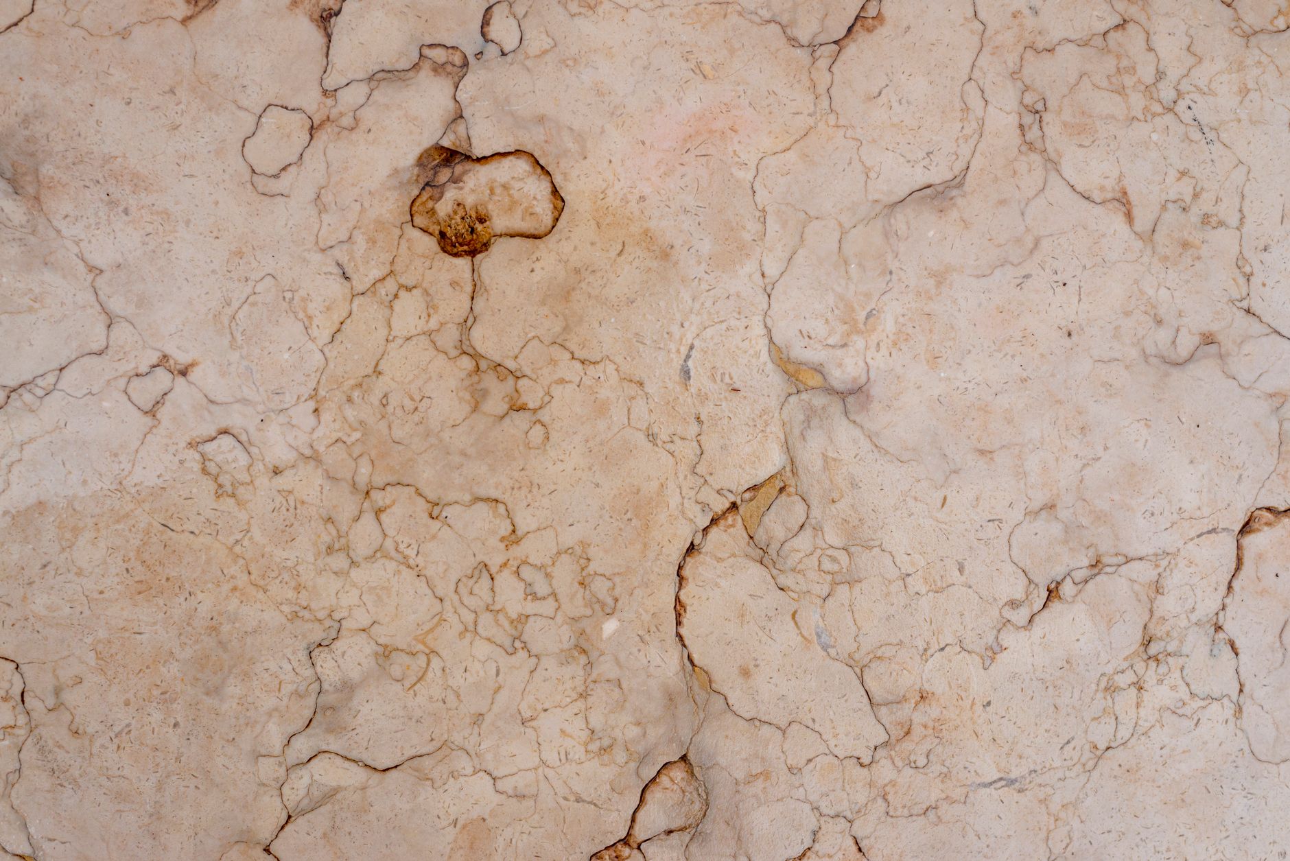 Close-up of honed marble — the kind of material the studio specifies